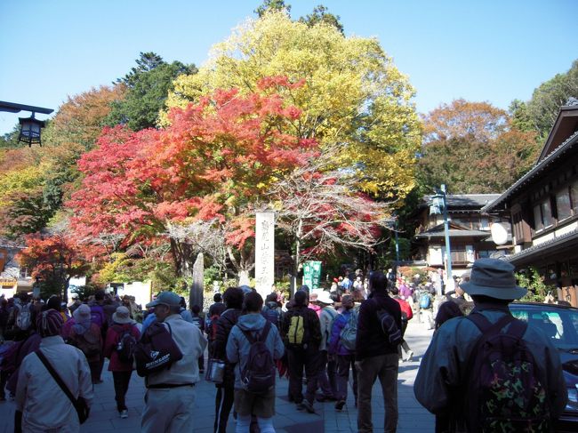 電車で高尾山へ<br />ちょっと紅葉には遅いかな〜って思いながら向かいました。