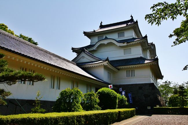 大多喜城(おおたきじょう)<br />現在の千葉県夷隅郡大多喜町にあった戦国時代から江戸時代かけて存在した平山城。<br />初めは小田喜城(おだきじょう)と呼ばれていた。<br />江戸時代には大多喜藩が置かれていた。<br /><br /><br />大多喜城(県立中央博物館大多喜城分館)<br />徳川四天王のひとり、本多忠勝を初代城主とする。 <br />近世大多喜城の本丸跡に城郭様式で建設した博物館です。<br />〔房総の城と城下町〕をテーマに刀や鎧、衣装等を展示しています。<br />秋には毎年、県内外の多彩な資料を集めた特別展を開催しています。<br />県立中央博物館大多喜城分館は、<br />千葉県指定史跡の上総大多喜城本丸跡に建設された天守閣づくりの 特色のある歴史博物館です。<br />この博物館は房総の中世から近世までの武器・武具や城郭、<br />武家社会などに関する歴史資料を展示紹介する専門館と、<br />総南地方の地域の文化財を紹介する地域博物館としての機能を持っています。<br />また、歴史教室や講座を開催するほか、<br />歴史資料の調査・研究・保管・展示を行い、<br />県民が身近に地域の歴史に触れ、生涯学習に寄与することを目指しています。