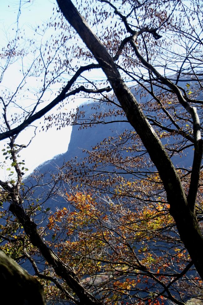 荒船山の山容はとても印象的です。<br />切り立つ断崖と頂上をスパッと切り取った形状は、まさにテーブルマウンテン。<br /><br />山頂は長さ２キロ、幅４００メートルほどの平な台地となっており、そこを歩くコースと断崖から眺める景色がこの山のポイント。<br />特に紅葉の時期は良いみたい♪<br /><br />初めて見たのは大分昔・・<br />ずっと気になっていましたが、やっと登る機会がやってきました！<br />今日はこの山で秋を満喫してきたいと思います。<br /><br />では、はじまりはじまり〜！<br />
