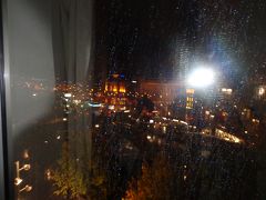 ★悪いたぬきさんのベルギー・オランダちょっと見紀行★（１） 夜のアムステルダムはムード満点