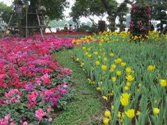 ☆チェンライ滞在記☆　１月の徒然日記　（上）