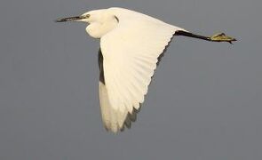 2013 01 香港らしからぬ風景　28