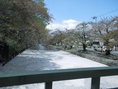 GWは青森ー秋田ぐるりん旅　弘前さくら祭りの出店にビックリ！新玉川温泉でビリリ編