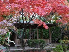 ぶらっと瀬戸内紅葉旅　広島・岡山へ　1日目その6～広島　縮景園～【2012.11】