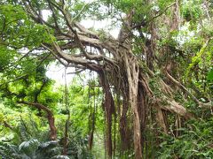 忘年旅行☆クリスマスバージョン②