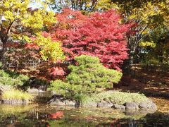 府中の森は秋色たっぷり