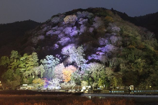 京都の年末行事「嵐山花灯路」へ行ってみる。この日は灯篭に点灯される午後5時から雨。土曜日でもあり人出は多く狭い嵯峨野の大河内山荘へ通じる道は大渋滞。とても写真を撮れる状態では無かった。この行事は12月17日には終わるため15日に出かけたのであるが、悔いを残すお出かけとなった。年が明けて2013年、1月４日に愛宕山へ登ると美しい「樹氷」を見ることができ、今年は良いことがあるかも・・・。帰り道で「車折神社」（くるまざきじんじゃ）へ寄って「一陽来復」の守り札を受ける。まだ正月４日のこととて、参詣者が多くお参りの順番の列に並ぶ。愛宕山は帰り道、雪が沢山の登山者に踏まれて固まってしまい何度か転倒しそうになる。家を出るとき軽アイゼンが見当たらないので仕方なく古い12本爪のアイゼンを持参していたのでこれを締めて下山。愛宕さんは粉雪が舞い散る寒い一日であった。
