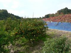 日本の旅　関西を歩く　大阪府河内長野市のフルーツランド天野山周辺