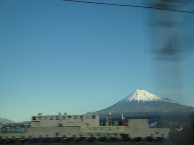 初詣に行ってきました!