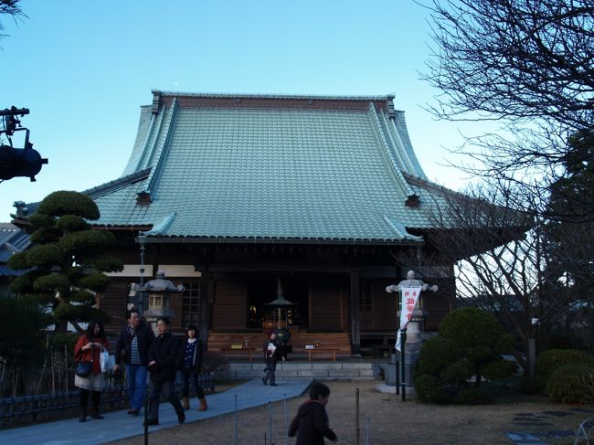 横浜市金沢区洲崎町にある龍華寺(りゅうげじ)は真言宗御室派別格本山のお寺であり、知足山弥勒院龍華寺という。金沢区内にある真言宗12ヶ寺の本寺格とされている。元々、源頼朝が瀬戸神社を建立した後、文治5年(1189年)に文覚上人が開山、源頼朝が開基となり、瀬戸神社の別当寺として六浦山中に建てた浄願寺が始まりであると伝えられている。しかし、その後、戦乱や火災で浄願寺の伽藍が荒廃したため、明応8年(1499年)に住持の融弁は兼帯していた光徳寺を併合して、現在地の洲崎の地に龍華寺として再興した。<br /> その後は、真言密教の学問や修行の道場として栄え、往古の繁栄を伝える貴重な文化財を数多く伝えていることで知られている。本尊の大日如来は鎌倉期の作とされ、横浜市内に残る仏像としては弘明寺観音に次いで拝観すべきであるとNHKの番組で紹介していた。江戸時代に修復されており、遠く須弥壇におわすご本尊は金ぴかである。そのために、かつては江戸時代の仏像とされていた時期があったという。<br /> また平成10年(1998年)に発見された脱活乾漆造(興福寺の阿修羅像が特に有名)の菩薩座像は天平時代の作と思われ、東海地方以東では、この1体だけという。いつの時代か、修復時に右足と左足とを違えて取り付けてあったのだという。そのために、平成になって元に戻したという。いくら脱活乾漆造だからといって、左右の足を取り違えることなど有り得ないことだと思う。境内に建つ鉄筋コンクリート造の龍寶殿に安置されているのかと思っていたが、今は金沢文庫にお出ましだということだ。住職は留守であったが、夫人は、「なるべく早く皆さまが目にできるようにと考えていますが‥。」といって、写真を2枚くださった。<br /> 本堂でご本尊を参拝して出ようとしたら、2人の綺麗な娘さんが参拝にやって来た。「上に上がって、ご本尊を参拝したらいいですよ。鎌倉仏で横浜では弘明寺観音と並ぶ仏像とされていますよ。」と言うと、ブーツを脱ぎ始めた。「兄弟?」と聞くと、「ええ。」と答えた。「じゃあ、美人姉妹だね。」と声を掛けると、妹さんが微笑んだ。正月の初詣に寺社を巡っても中々、美人には出会わないものだ。まして美人姉妹なら尚更だ。今年も良い年でありますように。<br />(表紙写真は龍華寺本堂)