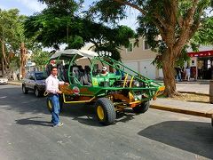 大リーグ養成ギブスのようなこの車、なに？