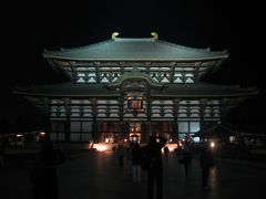 ’１３　関西周遊５　４日目前半：奈良（東大寺桟唐戸の開帳・春日大社・興福寺・元興寺・ならまち）