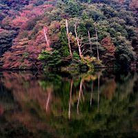 大山　大野池の遊歩道を歩く～鳥取花回廊ライトアップ