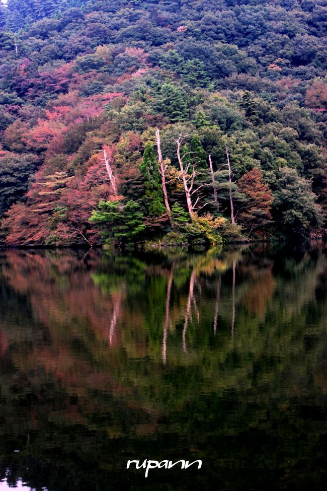 ＜ビッグアイ＞<br />大野池～水鏡の神秘<br /><br /><br />鉄道の日記念切符一人旅～山陰鳥取　大山<br />大阪から鈍行に揺られて米子へ<br />米子駅から大山るーぷバスが出ています。<br />大野池のそばにある大山レークホテルへ<br />ホテルのラウンジでお茶して<br />大野池を散策～ここは静かで水鏡が素晴らしかった。<br />最終バスで米子に戻り<br />無料シャトルバスで鳥取花回廊ライトアップへ<br />ジャズライブが流れる園内で<br />漆黒の夜に浮かぶ真っ赤なサルビアの丘と<br />十三夜のお月さんにほっこり♪<br />翌日早朝から再度鳥取花回廊へ<br />大山が顔を見せてくれました。<br />お昼頃、真っ赤なサルビアの丘で<br />クラッシクコンサートが催され、大山を背にした歌姫が♪