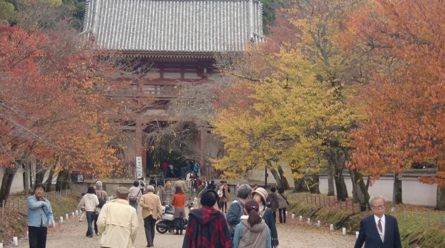 京都水族館の後、この醍醐寺を訪れました。<br /><br />http://www.youtube.com/watch?v=q9FUBMDQYx8