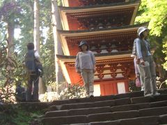 ボタンの長谷寺・シャクナゲの室生寺