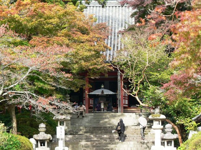 観心寺（かんしんじ）は、大阪府河内長野市にある高野山真言宗の寺院で奥河内の観光地の一つ。<br />７０１年に役小角（役行者）が開創したとされ８０８年に空海が訪れ北斗七星を勧請したとされこれにちなむ７つの「星塚」が現在も境内に残っており北斗七星を祭る寺は日本では観心寺が唯一とのこと。<br />８１５年、空海は再度この地を訪れ自ら如意輪観音像を刻んで安置し、「観心寺」の寺号を与えたとされる。観心寺は楠木氏の菩提寺で楠木正成および南朝ゆかりの寺としても知られており１３５９年には後村上天皇の行在所となった。<br />（写真は観心寺） <br /><br />