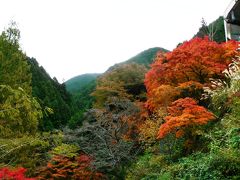 日本の旅　関西を歩く　大阪府南河内郡千早赤阪村金剛山（こんごうさん）ロープウェイ周辺の紅葉