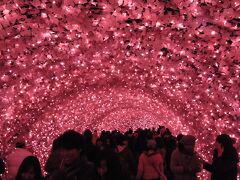 名古屋港水族館となばなの里の紅葉・イルミネーション【なばなの里編】（２０１２年１２月）