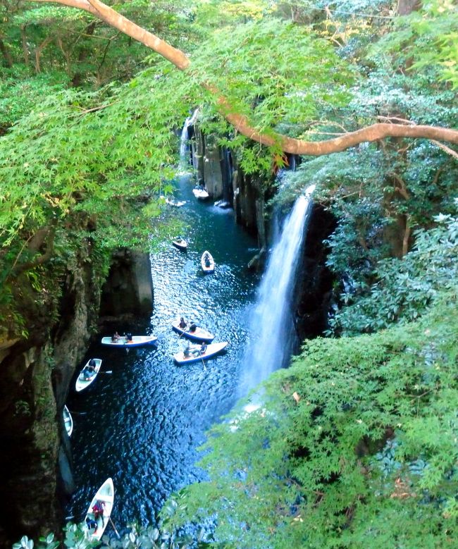 さて、今回の日帰りバス・ツアー。　＜前編＞で紹介した<br />天岩戸神社と天安川原で森林浴と神聖な雰囲気を味わった後、<br />この＜後編＞では、高千穂峡と高千穂神社へと向かいます。<br /><br />天安川原では予想もしてなかった、まるで競歩のような急ぎ足での見学で<br />しこたま汗をかいた後、冷房のきいたバスの中で暫しの休息。　ふぅ。<br />途中、隣の空いている席を見ると、ん？　シートに毛がいっぱい！<br />何じゃこりゃ～！？　(･_･?)<br /><br />もしや、誰かペットも連れて乗った？　→　いや、幾らなんでも・・・。<br />ペットを飼っている人の洋服から付いた？　→　うん。　これかも！<br />ん？　ペットの“毛”・・・？　もしかして・・・<br /><br />ユニクロのダウンジャケット見たら、あちこちから細い“羽毛”が！<br />何と犯人は自分でした。　σ(￣◇￣;) ﾜ､ﾜﾀｼ?<br />ジャケットを隣の席に置いていたので、そこから付いたものと判明。<br />すみません。　ちゃんとシートは綺麗にしときました・・・。（笑）<br /><br />そうこうしているうちに、バスは高千穂峡入り口近くの駐車場へ到着です。