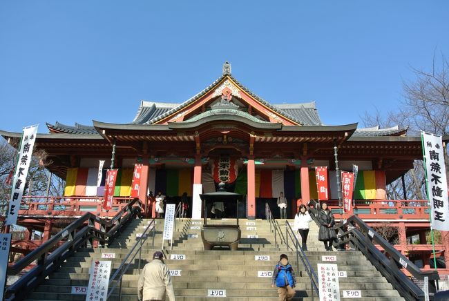 今年も宜しくお願いします。<br />新春、最初の散歩は、江戸(東京)の五色不動を巡ってみることにしました。<br />五色不動は、ご存知でしょうか?<br />目黒、目白、目赤、目青、目黄の5種六個所の不動尊の総称、五眼不動、五不動とも呼ばれます。<br />・目黒不動:瀧泉寺(目黒区下目黒3-20-26)<br />・目青不動:最勝寺 教学院(世田谷区太子堂4-15-1)<br />・目白不動:金乗院(豊島区高田2-12-39)<br />・目赤不動:南谷寺(文京区本駒込1-20-20)<br />・目黄不動:永久寺(台東区三ノ輪2-14-5)<br />・目黄不動:最勝寺(江戸川区平井1-25-31)<br /><br />五色不動は、三代将軍徳川家光が天海僧正の具申を受け、江戸の鎮護と天下泰平を祈願して、江戸市中の周囲五つの方角の不動尊を選んで割り当てたとされますが定かではないようです。<br /><br />五色となっているのは、密教の陰陽五行説に由来し、青・白・赤・黒・黄で東・西・南・北・中央を表しているそうですが、廃寺、統合などで不動尊が移動しているので、現在の場所は必ずしもそうなっていないようです。<br /><br />この日は時間切れで、目黄不動へは行けませんでしたので、また別の日に訪ねてみたいと思います。<br />