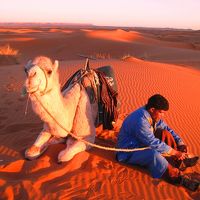 中2の娘と女子二人旅♪サハラ砂漠の真ん中で年越しパーティ【モロッコ4日目】