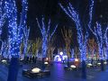2013年1月　さいたま新都心　けやき広場
