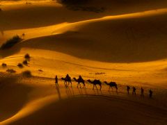 砂漠のノマド (カースト社会の周縁を生きるジョーギーの民族誌