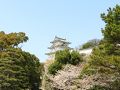 桜の明石公園と天文台