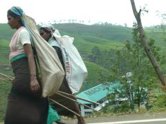【2012.9　スリランカの旅】Part7 ヌワラエリヤ