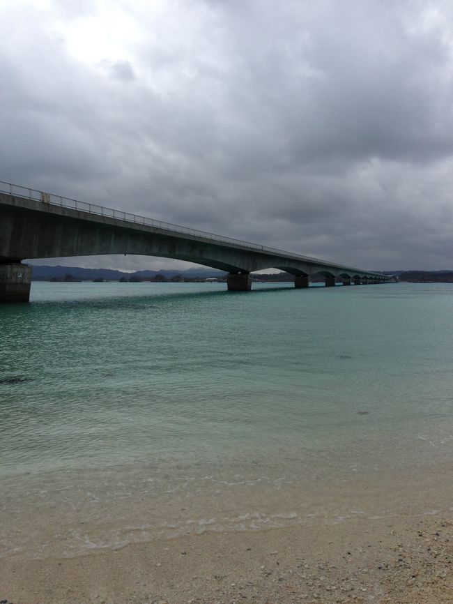 今年、何度も行ってる沖縄ですが、<br /><br />那覇市内と宜野湾市内にしか行ったことがないので、<br /><br />前日の夜に沖縄に飛び、<br /><br />日帰りバスツアーを予約し、美ら海水族館などを観光し、<br /><br />ギャラリアでお買い物をし、沖縄で2泊。<br /><br />翌日は、雪の博多へ。<br /><br />楽しいことがたくさんあった旅でした。<br /><br />