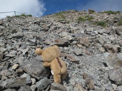 白馬岳2932ｍ目指す旅クマ　登れた編クマ～