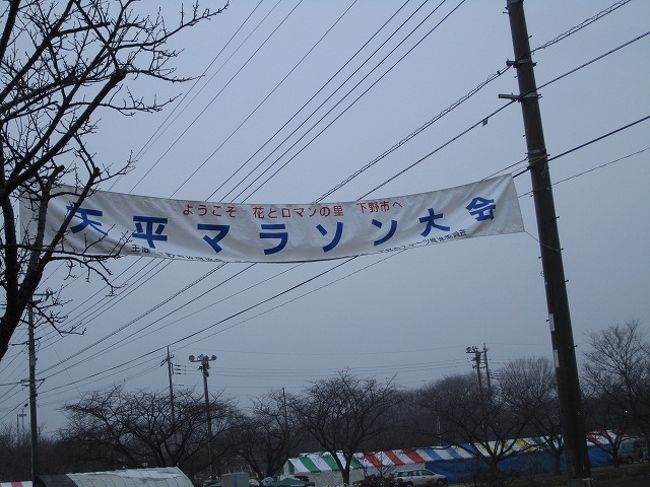 第７回下野市天平マラソンに参加すべく、早朝から出発。行き先が東北本線の小金井駅なので、「休日おでかけパス」を利用する。<br /><br />05:31 藤沢−新橋 722M<br />降りる客が席を空けることを期待して、階段付近に陣取る。無事クロスシートを確保。嫁の機嫌はよい。<br /><br />06:17 新橋−上野 612G<br />全く走らずに乗り換え。理想的。上野駅下車後、ちょっと時間があるので上野改札内、エキュート上野の「ｕｐｃａｆｅ」で飲み物をテイクアウト。<br /><br />06:49 上野−小金井 3521M<br />快速「ラビット」に乗車。グリーン車は暖かい上に乗客も少なくて快適。車内で朝食をとる。おにぎり２個と手作りあんパン１つ。大宮を過ぎてからは列車の揺れも少なくて非常にスムーズに移動できた。小金井駅ホームで、マラソン大会参加者とおぼしき人もチラホラ。<br />駅前のタクシーを拾う。マラソン大会会場までタクシーで移動すると余計なコストが掛かるので、ワンメーター（６６０円）で適当なランドマークのあるところを予め探しておいて、そこで降ろしてもらう。しかし、田んぼばっかりだな。。。<br />タクシー下車後、１５分くらい歩く。ちょっと冷ための雨が降っている。<br />会場でナンバーカードを受け取った後、開放してもらっている体育館で待機＆着替え。雨の中を歩いてきたので足の指先が冷えないように注意する。<br />１０時にスタートなので９時４０分頃に着替えて外に出てみると、雨がみぞれに変わっていた。スタートまでに手足の指先が冷えてしまい、かなりしょんぼりする。半分自暴自棄で「やってやろうじゃないか」という気になる。<br />で、スタート＆ゴール。記録はまあまあ。３０位以内だからこんなもんだろ。完走後の甘酒うめー<br />急いで着替え＆移動。キャリーバッグを転がして、地元の半温泉施設「ゆうゆう館」を目指す。<br />ちょうど走ってきたコースを逆走する形で歩くことになったが、まだ走り終わってない人も多いので、すれ違う度に声を掛けてまわる。こんな寒い中、２時間以上も走ってたら身体がおかしくならないか、心配になる。<br />１２時を過ぎたくらいからかなり風が強くなってきたため、途中からは膝から下が完全にずぶ濡れ状態。本気で気を失いそうになる。のたれ死にはイヤだなーと思いつつ、なんとか温泉施設に到着。嫁とも合流できてひとまず風呂に入ってくる。施設に併設されている食堂で昼食を頂いた後、一息ついて小金井駅にタクシーで行こうとする（タクシーを呼んだのになかなかやってこず）。<br />小金井駅前の信号を停車中、タクシーのラジオで「東北線不通」と聞こえたので急遽、行き先を小山駅に変更。東北新幹線なら、滅多に不通にならないだろうとの読み。途中、ツルツル滑りそうになりながら、なんとか小山駅に到着。タクシー代３３８０円。<br />小山駅は外装こそ一昔前の地方のターミナル駅を思わせるものの、内部は結構今風のテナントが入っていて、今後も発展できそうな感じ。<br />東北新幹線の新幹線自由席券を東京まで購入。<br /><br />16:01 小山−東京 274B (なすの274号)<br />乗車時に乗客が多すぎて発車時刻が遅くなったり、東京駅のホームが空いてなかったりで少々到着は遅れるものの、おおよそ定刻通りに到着。新幹線も使える「休日おでかけパス」は便利だなー<br /><br />16:50ころ 東京−藤沢 327M<br />東京駅に到着直前、上りの「踊り子」から下車してくる人が見えたので、東海道線が復旧しつつあることを予感。<br />８番ホームに急いでみると、案の定、もうすぐ発車するところだった。しかし、１７時過ぎに出発で、乗ったのが１５時２２分発予定の列車とは。この先混雑すると大変なので、急いでグリーン車を確保したものの、意外と最後まであまり人が乗ってこなくて拍子抜けする。あんまりこんな日にお出かけしないのかな？<br />嫁の機嫌が悪くて、どうしたものかと。<br /><br />なんとか藤沢に到着後、南口の小田急百貨店のレストランで夕食。たまたま入店した中華料理店、その日で閉店という張り紙がされていた。<br />