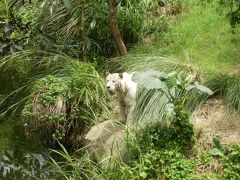 2013年1月 バリ島 【3日目】