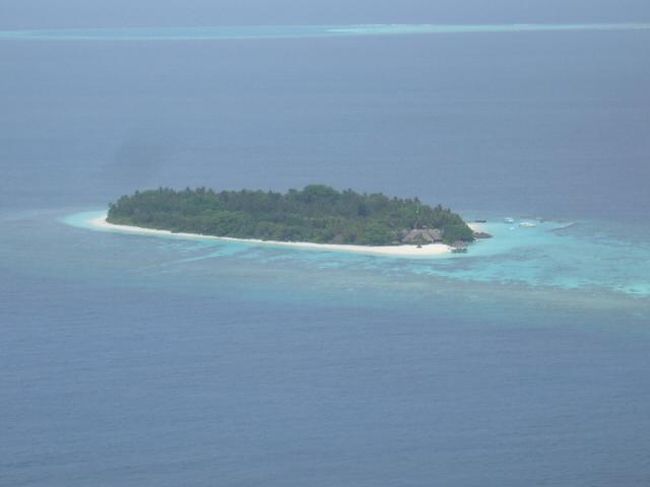 Madoogali Resort(マドゥガリリゾート)<br />(2013年1月12日現在の情報です。情報は予告なしに変更されますので、予めご了承ください。)<br /><br />ハウスリーフが良く、モルディブらしいリゾート…。<br />『マドゥガリ』モルディブらしさがあるナチュラルリゾート。<br />そんなリゾートを探すのが難しいですが、昔から変わらず残っています。<br />ヤシの木、バニヤンツリー、ジャスミンの木々など豊富で島が木で満たされています。<br />島内は静かでのんびりしたムード、うさぎさんもいます…。<br />日本人の方はほとんどいません…。<br />リーズブルで1棟独立のお部屋は、日本人のお客様にも人気です。<br /><br />Ali Atoll北西部に位置し、空港から水上飛行機で約30分。<br />水上飛行機はMaldivian Air Taxi。赤い水上飛行機です。<br />水上飛行機チェックイン後、国際線ターミナルから空港東側にある水上飛行機のターミナルまではバスで移動します。<br />水上飛行機のボーディング時間までは、広い待合室でお待ちいただけます。<br />マドゥガリの水上飛行機のプラットホームは、リゾートからドーニーで約15弱のところにあります。ドーニーにはリゾートスタッフが乗って来るので安心!<br />ドーニーから、だんだんリゾートが近づいてくるのも楽しみです。<br />リゾート到着後、モルディブらしい自然が満点の景色。レセプションまでの道にはヤシの木の緑が豊富で。ウサギちゃんのご挨拶をしてくれます。<br />レセプションでチェックイン。<br />ヤシの実ジュースのウエルカムドリンク!!!<br />甘くてとても美味しいです。<br />飲み終えた後、中を割ってもらい、白いゼリー状の物を食べると美味しいです。<br /><br />島の雰囲気<br />昔はイタリア人が主のリゾートでしたが、今は、インターナショナルでドイツ、イギリスのお客様もいます。日本人のお客様はめったにいません。<br />島内はとても静かです…。<br />ダイバーのお客様は多くはないですが、アリ環礁西側は珊瑚が綺麗で、チャネルダイビングもあり、乾季にはマンタポイントもあり満足だが高い。<br />島1周歩いても約15分…と小さな島。<br />島内に入り、最初に目するのは背の高〜いヤシの木。<br />また、まわり何処を見ても緑が多く作られた自然ではないので、ほっとする雰囲気。<br />お部屋の前を1周歩いていると、ブーゲンビリアのアーチ&ブーゲンビリアの木々もあり、とても綺麗です。大きなバンヤンツリーもあります。そしてお部屋の外見が珊瑚後の壁のところがあり、あ〜モルディブの自然を感じる島です。<br />お部屋の前は緑が多く、木々の隙間からマリンブルーのラグーンが覗けます。<br />ビーチはしま1周ありますが、季節&風の向きにより削られる場所もあります。<br />皆様、良く気になるのが防波堤。マドゥガリは、なんと防波堤はないのです…<br />ほんの少しだけ、メインの桟橋のところに防波堤はありますが、全然気になりません。<br />珍しい島です。<br />それなのに、西方向には大きなビーチが広がっていて綺麗です。<br />ビーチチェアが置いてありますので、日焼けを満喫するお客様の姿が目にします。<br />夕方はサンセットが綺麗に眺められ、波際にはマダラトビエイさんがゆらゆらと揺られながらヤドカリさんを探しています。夕食のお時間でしょうか〜???<br />Veli Caf&eacute;’では、19:00からサメの獲づけをしています。大きなナースシャークが来てとても面白いです。(悪天候時は中止されていますので、お天気が怪しい時はスタッフにご確認ください。)<br />レストラン&バーも飾らない自然スタイル。<br />ランチ&ディナー時には、BBQコーナーで魚&お肉料理が焼かれています。<br />お魚はフレッシュなのでとても美味しい。焼き具合もOK!!!<br />パスタは実演料理で作っていますので、出来立てで美味しい。いつもイタリアンパンがありおつまみにも美味しい!<br />リーズナブル、ビーチが綺麗、ハウスリーフが良い、食事も美味しい、オールインクルーディブにもでき、お勧めのリゾートです!<br /><br />ハウスリーフ&スノーケリング<br />魚が多いのでスノーケリングでも、いろんな種類の魚をみていただけます。<br />大物&小物&群れ物まで盛り沢山。<br />テーブル珊瑚&枝珊瑚も綺麗!<br />ドロップオフ手前の浅瀬のラグーン内にも珊瑚が広がっています。<br />そこには、珊瑚に住んでいるトロピカルで小さなお魚さんが沢山います。<br />白砂のラグーン内は光が入るので、水中でみてもキラキラ輝きとても綺麗です。<br />またそこを泳いでいるお魚さんも気も気持ちよさそうで、初心者&お子様でも楽しめるラグーン内です。お勧めですよ〜。<br />ドロップオフはなだらかで泳ぎやすいです。<br />メインの桟橋からリーフを左肩にしてお部屋番号5番辺まで泳げますが、北側方向のハウスリーフは、ドロップオフまでの距離が遠いので、潮の流れに気をつけてください。<br />お部屋番号5番辺のドロップオフにはポールがたっています。<br />潮の流れの方向により、エントリー場所を変えて泳がれてください。<br />メインの桟橋からリーフを右肩にしても泳げます。<br />ある程度までいかれたら、メインの桟橋まで戻ってきて来るか、潮が満ちているときは、途中からラグーンに戻れるところがあります。<br />カメ、サメ、マダラトビエイ、クマノミちゃん、ハタタエダイ、ブラックポラミッドバタフライ、ツバメウオ、シマガギ、イソマグロ、カスミアジ、パロットフィッシュetc<br />と、いろいろです〜。<br />ナイトスノーケリングはガイド付きで行けますので、ダイビングセンターにお申込みください。<br /><br />ボートスノーケリングトリップもお勧めです。<br />マンタシーズンはマンタポイントにも行きます。<br />ダイビングセンターにてお申込みください。<br />マンタシーズン(12月末〜4月末/シーズンにより異なりますのでご了承ください)<br /><br />お部屋<br />お部屋のカテゴリーは1<br />☆ビーチバンガロー 56部屋 <br />最大収容人数 大人3名 または大人2名+子供1名、大人1名+子供2名<br />1エキストラベッド<br /><br />レストラン&バー&カフェ<br />Malaafal Restaurant(メインレストラン)<br />天井も高く開放的!天井はわら葺屋根でぶら下がっている電気がローカルチックで雰囲気があります。<br />朝食07:30〜09:30<br />昼食12:30〜14:00<br />夕食19:30〜21:00<br /><br />3食ビュッフェスタイル。<br />*お客様は少ない時は、ランチ&ディナーと、テーブルサービスの時もあるかも知れません。<br />テーブルは固定。ご滞在中は同じウエイターがサービスをいたします。<br />味付けが濃くなく日本人向き。<br />BBQコーナーもあり、ランチ&夕食時は、お肉&お魚を焼いています。<br />パスタなど実演で作っているので、温かくて美味しい。<br />味が濃くなく食べやすいです。<br /><br />Haruge Bar(メインバー)<br />07:30〜最後のお客様まで<br />レストランの横にあります。<br />ビリヤードx1(バーで何かオーダーされた方は無料でご利用いただけます。)<br />ハッピーアワー18:30〜19:30/カウテル&ボトルワインが20%オフ<br />*内容は予告なしに変更されますので、予めご了承ください。<br /><br />Veli Caf&eacute;(ヴェリカフェ)<br />10:00〜13:00<br />15:30〜最後のお客様まで<br />19:00からシャークフィーディグ!<br />(悪天候時は中止されていますので、お天気が怪しい時はスタッフにご確認ください。)<br /><br />ハッピーアワー18:30〜19:30/カウテル&ボトルワインが20%オフ<br />*内容は予告なしに変更されますので、予めご了承ください。<br /><br />サンセットが綺麗にみえます!<br /><br />MUSPA<br />オープンエアーで波の音を聞きながら…癒されてみてください。<br />09:00〜12:00/14:00〜20:00<br /><br />========================================================================<br /> Webesite : http://www.madoogalimaldives.com<br />Email : info@madoogalimaldives.com<br />電話:(960)666−0581<br />ファックス:(960)666−0554<br /><br />リゾート日本人スタッフ:いません。<br />日本人ダイビングインストラクター:いません。<br /><br />チェックイン 13:00<br />チェックアウト 12:00<br /><br />時間<br />日本との時差4時間<br /><br />トランスファー<br />水上飛行機で約30分。<br />水上飛行機のプラットホームからリゾートまではドーニーです。(15分弱)<br /><br />空港からリゾートまでの距離<br />75キロメーター。<br /><br />島のサイズ<br />1週歩いて約15分。<br /><br />電気圧<br />220〜240V/50HZ<br />プラグ:三椏平ピン。マルチプラグ有り。(レセプションにお尋ねください。)<br /><br />レセプション<br />24時間。<br /><br />キャッシャー<br />24時間。<br /><br />クレジットカード<br />ビザ、マスター、アメリカンエクスプレス <br />*JCBは使用できませんのでご注意ください<br /><br />キャッシュの取り扱い<br />アメリカドル、ユーロ、<br />*日本円は使用できませんのでご注意くだい。<br />*トラベラーズチェックの使用可<br /><br />セーフティボックス<br />24時間。(レセプションにてお尋ねください。)<br /><br />インターネットカフェ<br />レセプション横にあります。PCx1(無料)<br />Wife使用可能エリア:レセプション&メインバー<br />無料。<br />プリントサービスが必要の場合はレセプションにお問い合わせください。<br /><br />日本への電話&ファックス<br />電話:US$2/1分<br />ファックス:US$2/1分<br />ローカルコール:US$0.35/1分<br />*料金には10%サービスチャージ+8%GSTが加算されますので、予めご了承ください。また料金&GSTは予告なしに変更されます。<br /><br />ランドリーサービス<br />06:00〜14:00/16:00〜20:00<br /><br />カクテルパーティー<br />無し。<br /><br />DVD&CDレンタル<br />無し。<br /><br />ご出発案内<br />ご出発のご予定に関するご案内は前日の夕方(19:00〜)にレセプションにてご確認ください。<br /><br />ハネムーンサービス<br />ワイン、フルーツ、ベッドデコレーション<br /><br />お誕生日<br />ケーキ、テーブルデコレーション、ベッドデコレーション<br /><br />結婚記念日<br />ワイン、ベッドデコレーション<br /><br />リピーターサービス<br />無し。<br /><br />ベビーシッターサービス<br />無し。<br /><br />クリニック<br />無し。<br />救急箱はオフィスに有ります。<br />車いす 有り。<br />松葉杖 有り。<br />AED 無し。<br /><br />魚の餌付け<br />有り。<br />Veli Caf&eacute;(ヴェリカフェ)<br />19:00からシャークフィーディグ!<br />(悪天候時は中止されていますので、お天気が怪しい時はスタッフにご確認ください。)<br /><br />フィットネスセンター<br />無し。<br /><br />プール<br />無し。<br /><br />ゲームルーム<br />なし。<br /><br />ライブラリー<br />本棚はレセプション横にあります。<br /><br />ラウンドスポーツ<br />ビーチバレー、ペタンク、卓球<br /><br />エンターテイメント<br />カラオケ、クラブレース、ソフトミュージック、モルディブアンダンズなど<br /><br />
