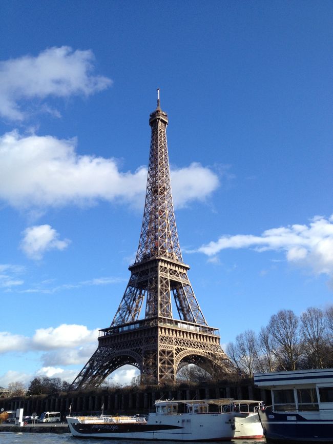 今回のフランスへの7名家族旅行を旅行日記のように日を追って見たこと、食べたこと、アクシデント等好き勝手に書かせていただきます。<br /><br />12月21日、旅行前から家族が順番にウイルス性の発熱、関節炎にかかり出発当日には72歳の母親が発熱、飛行機内では4時間おきに解熱剤を服用しながらとりあえずドーハに到着、車椅子で約3時間のトランジット。<br />ドーハからパリまで6時間、ドーハは飛行機を降りてからバスでの移動のみ。<br />食欲もなくひたすら眠り続ける母親を心配しながらパリ着、朝6時半。<br />やはり車椅子を手配してもらい荷物を受け取るまでに2時間。その間に予定していたミュージアムパスを2日券と4日券を大人の分6名分を一度に購入。あとで後悔する。<br />車椅子を押してくれた関係者に大型のバンを紹介してもらう。ホテルまで一人20ユーロ。7名と大荷物だったのでお得感。<br />手伝ってくれた人にお礼として10ユーロ。でよかっただろうか。<br />バン車内ではドライバーと会話が弾む。帰りはレンタカーでCDGまでの予定だったが、万が一変更の場合を考えて名刺をもらう。<br />写真につづく。。。