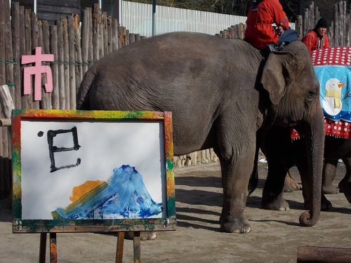 小象・・・が、絵を 描く～っ？」ーーー『 市原 ぞうの国 』 は、動物