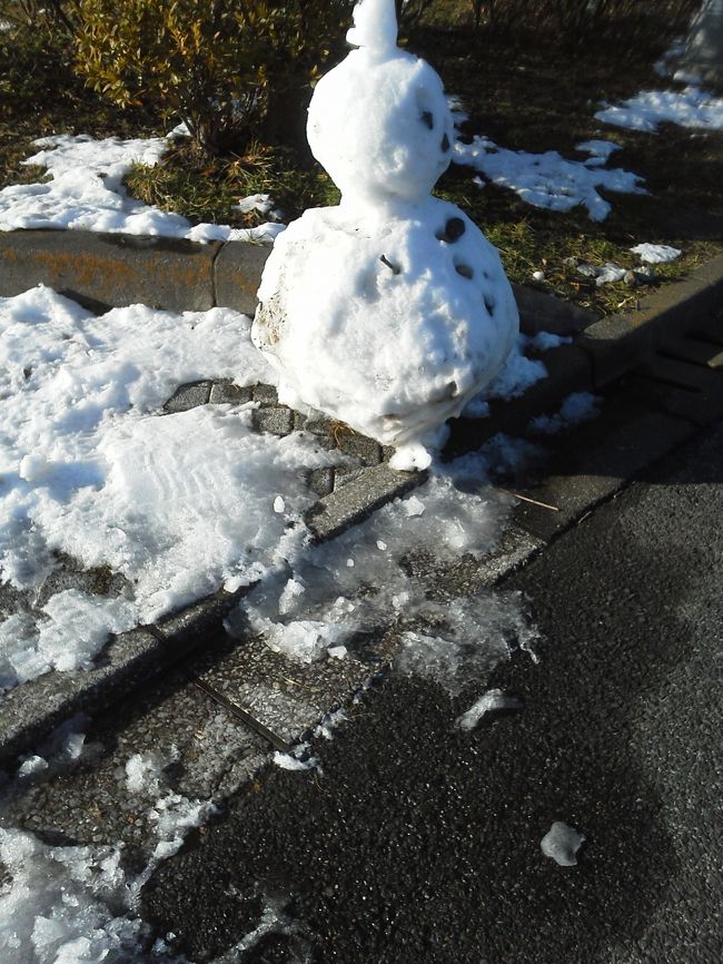 初雪。雪景色