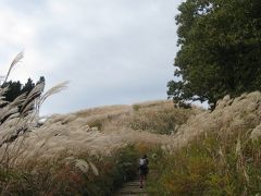 甥っ子と岩湧山