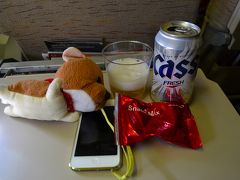 【しばたと旅する】冬のソウルをひたすら歩く。ちふ散歩ソウル編（1日目）成田～仁川空港～景福宮～鐘閣