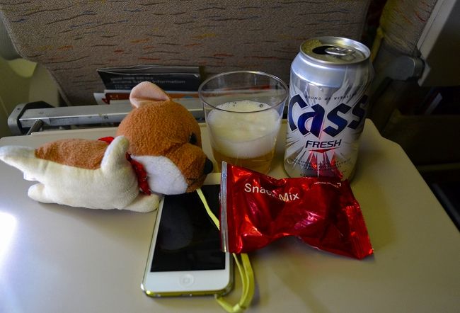 航空券が安い1月にソウルを一人旅。<br /><br />2012年12月の4トラベラーさんと共に行動したソウル旅行のテーマが「食べ・飲み」でしたので、一人旅の今回は、「街歩き」「アカスリ」「一人焼肉」を試みました。<br />テコンドー体験・山登り・野球場見学・遊覧船乗車は、残念ながらできませんでした。<br />しばた、いろいろなところに行って、楽しかったワン！<br />まずは、初日の様子から夜までの『ちふ散歩』を旅行記にしていきますね。<br /><br />※2012年12月のソウル旅行記　ダイジェスト版<br />http://4travel.jp/traveler/chifu/album/10740190/<br /><br />【旅行代金】<br />＜航空運賃＞<br />15,500円<br />（内訳）<br />　航空券料金（成田－仁川）　3,400円<br />　現地税　2,330円<br />　航空保険料　180円<br />　燃油サーチャージ　6,000円<br />　国内空港使用料　2,540円<br />　取扱料金（手数料）1,050円<br />＜宿泊料＞<br />11,100円<br />（内訳）<br /> 1日目：2800円　<br /> Yim’s House2　（小さなゲストハウス1人部屋）<br /> http://www.konest.com/hotel/hotel_detail.html?h_id=yims_house2<br /> 2日目：3200円　<br /> フレンズハウス　（韓国らしい民宿）<br /> http://www.konest.com/hotel/hotel_map.html?h_id=friendshouse<br /> 3日目：5100円　<br /> 仁川パークウッドホテル（空港近くのなかなか立派なホテル）<br />http://travel.rakuten.co.jp/HOTEL/44583/44583.html<br /><br />【横浜－成田空港間】<br />往路：京急～京成本線　1620円<br />復路：京成バスとJR　1000円＋450円　合計1450円。<br /><br />なかなか安いプランを選択した割りには快適でした。<br />ネットを使って賢く無駄なく、そして、贅沢に（？）旅行するのがいいですね！<br />なお、往復の機内で合計7本のビールを飲みました（内訳：往路4本、復路3本）。<br /><br /><br />美女編は、こちら。<br />http://4travel.jp/overseas/area/asia/korea/seoul/travelogue/10742763/<br /><br />