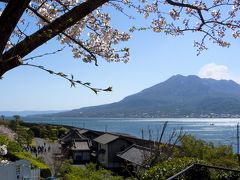 西日本桜紀行 - 鹿児島編