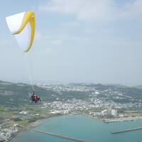 スカイマークで行く！爆弾低気圧到来！まさかの延泊？成人式で大暴れの旅☆ミ