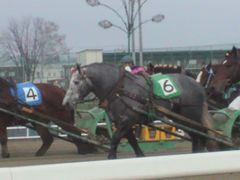 帯広って美味しいネ