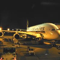 シンガポール航空A380で行ったグレイシャー国立公園とマウントレーニエ国立公園