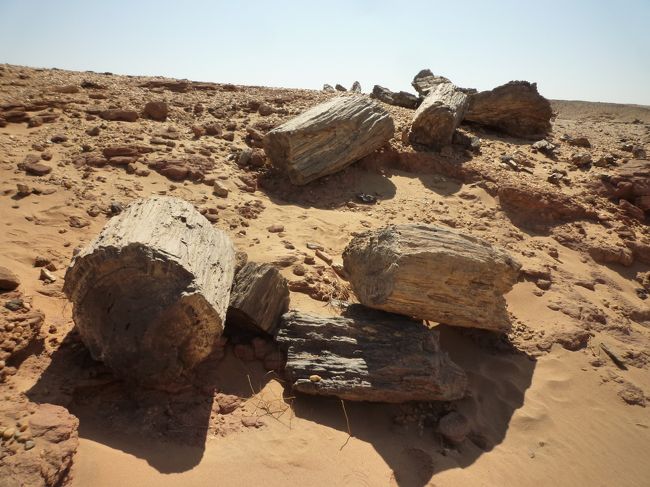 メロエのピラミッド群、聖なる山ジェベル・バルカル。スーダン北部に残る古代クシュ王国の遺産を巡る歴史紀行。ナイル川クルーズやイスラム僧による旋回舞など、遺跡以外の観光も充実。 <br /><br />