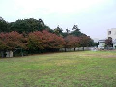 日本の旅　関西を歩く　大阪府羽曳野市応神天皇陵周辺