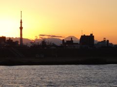 市川を歩く（2）　―国府台から見た夕日に映えるスカイツリーと富士―