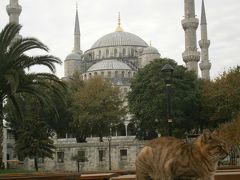 トルコ・イスタンブールへＧＯ!!