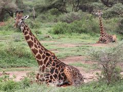 ケニア・タンザニアの旅（３）～マニャラ湖国立公園～